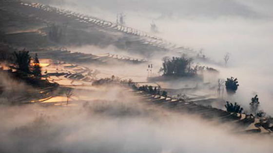 Cultural Heritage-Human Landscape: The Wonder of the Terraces